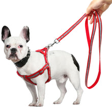 Laden Sie das Bild in den Galerie-Viewer, Pfotenking® | Reflektierendes Hundegeschirr mit Leine (120cm)
