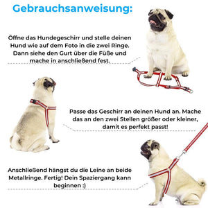 Pfotenking® | Reflektierendes Hundegeschirr mit Leine (120cm)
