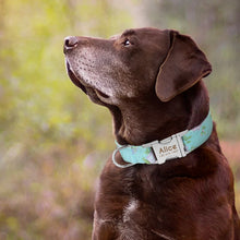Laden Sie das Bild in den Galerie-Viewer, Pfotenking&#39;s Personalisiertes Hundehalsband

