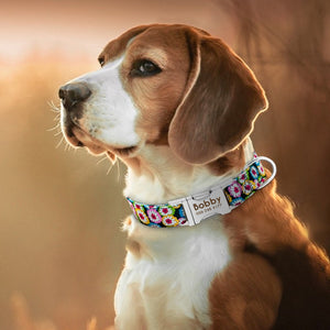 Pfotenking's Personalisiertes Hundehalsband